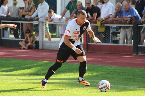 Guarino