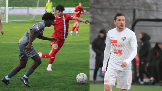 Immagine 2025-12-18 150711